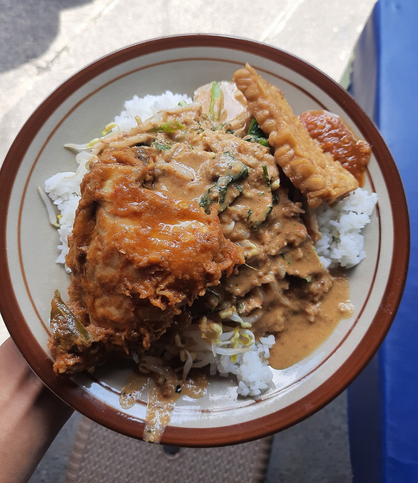 A plate of nasi pecel with rice, vegetables, and peanut sauce.